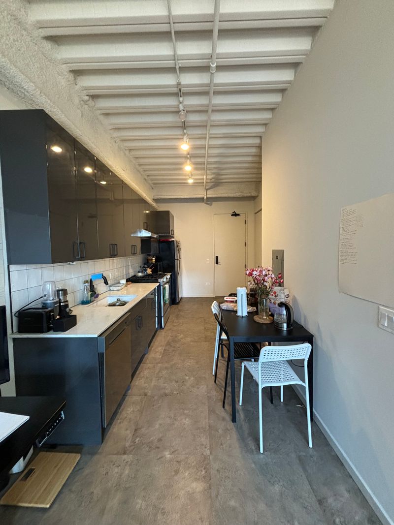 roommates in Chicago Entire Place 1Bed.1Bath - cirtru.com