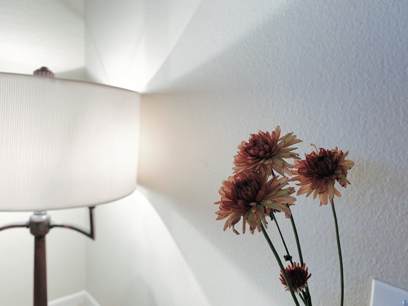 roommates in Los Angeles Private Room in 2Bed.2Bath - cirtru.com