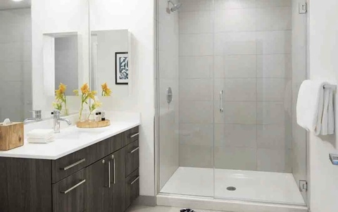 roommates in Chicago Entire Place 1Bed.1Bath - cirtru.com