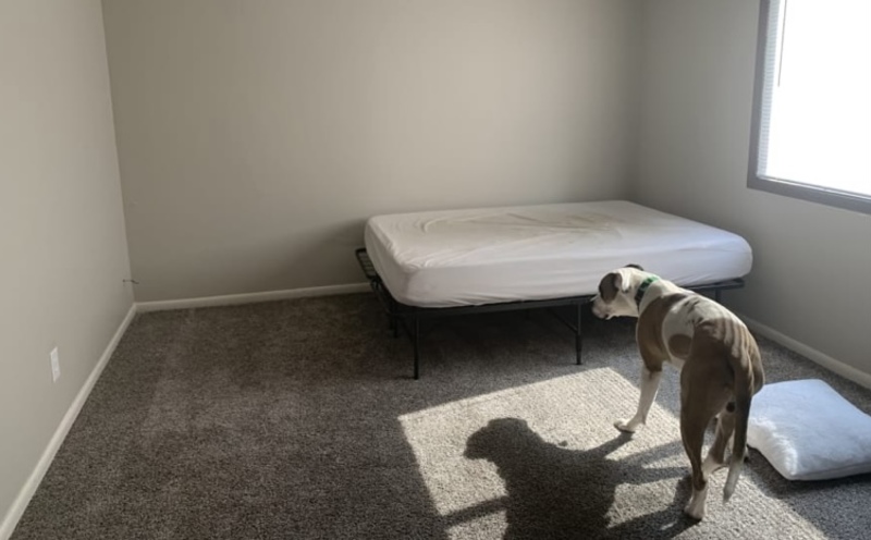 roommates in Bellevue Private Room in 2Bed.2Bath - cirtru.com