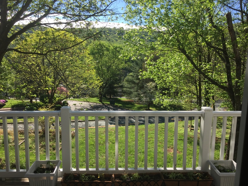 roommates in Charlottesville Private Room in 3 bed, 3 bath - cirtru.com