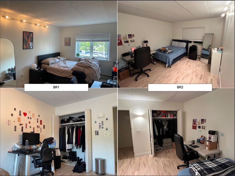 roommates in Somerville Private Room in 2Bed.1Bath - cirtru.com