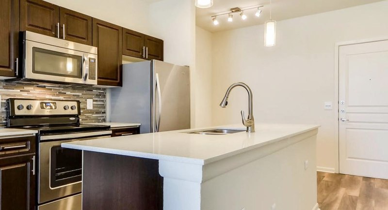 roommates in Austin Entire Place 1Bed.1Bath - cirtru.com