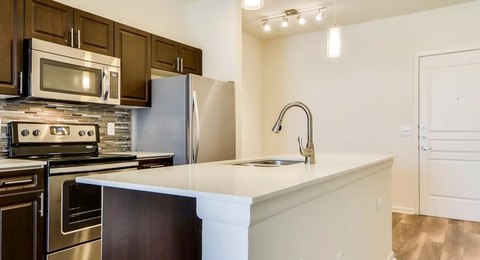 roommates in Austin Entire Place 1Bed.1Bath - cirtru.com
