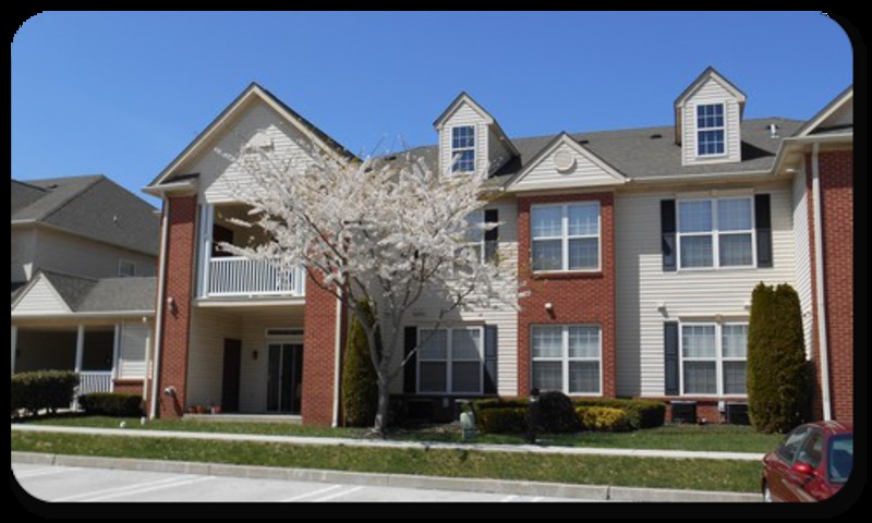 roommates in King of Prussia $900- 1 Furnished Room For Indian - cirtru.com