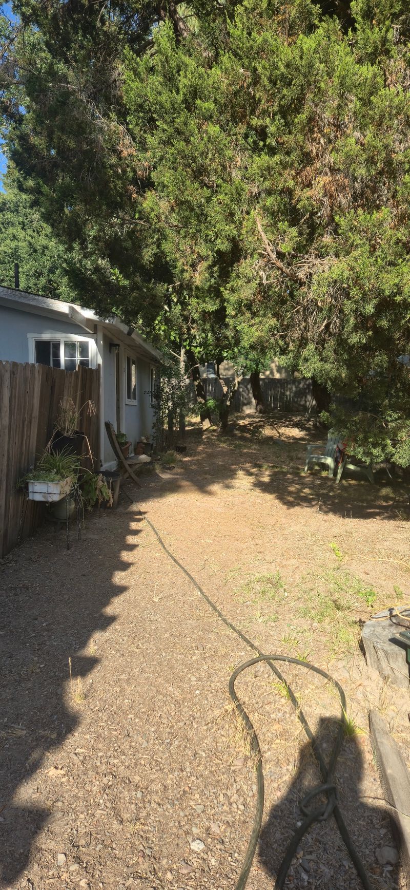 roommates in Sebastopol Private Room in 1Bed.1Bath - cirtru.com
