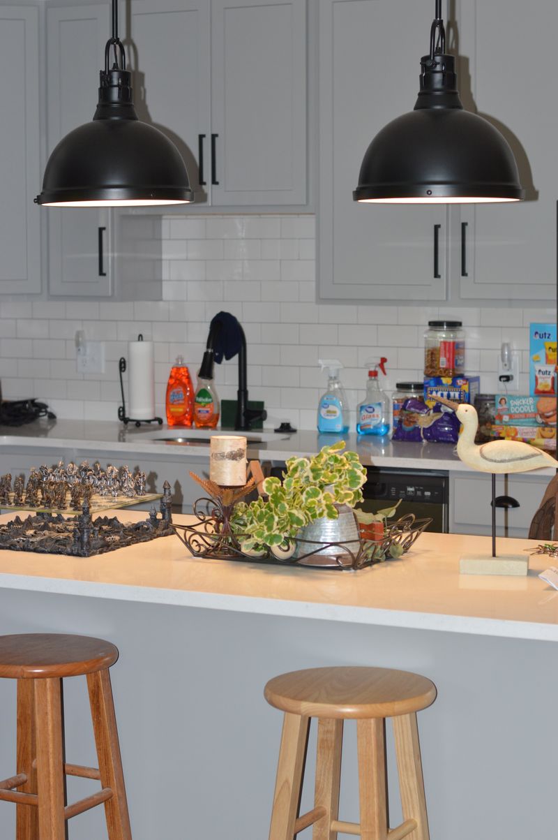 roommates in Delmar Shared Room in 2Bed.1Bath - cirtru.com