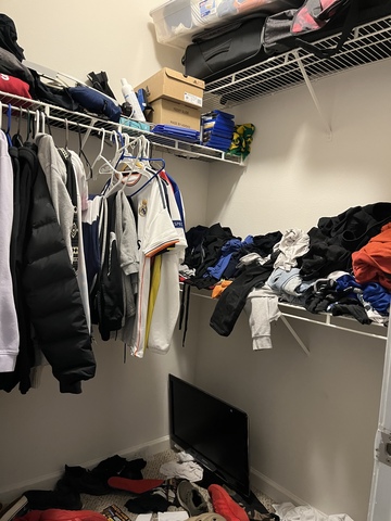 roommates in Charlotte Private Room in 2Bed.2Bath - cirtru.com