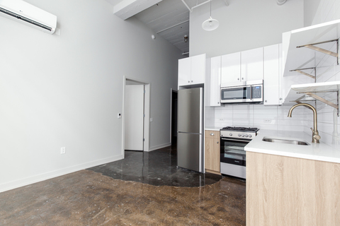 roommates in Chicago Entire Place 2Bed.1Bath - cirtru.com
