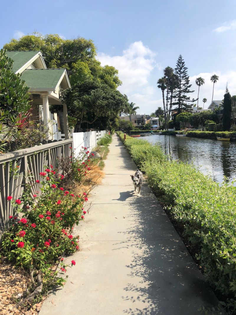 roommates in Venice Room2Bed.1.5Bath - cirtru.com