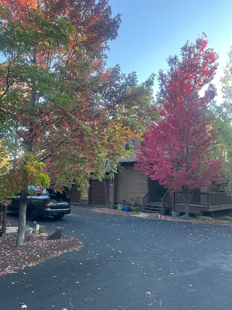 roommates in Pinetop Entire Place 3Bed.1.5Bath - cirtru.com