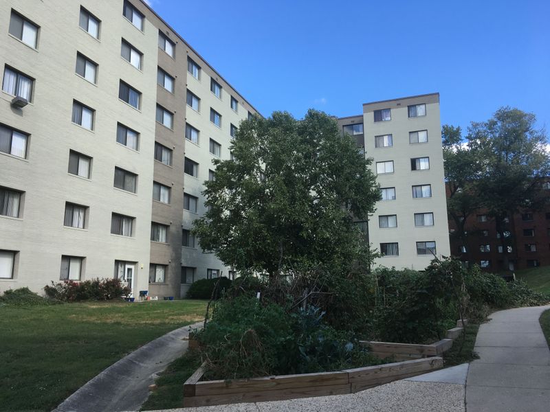 roommates in Silver Spring Private Room in 3Bed.2Bath - cirtru.com