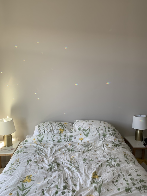 roommates in Dorchester Shared Room in 2Bed.2Bath - cirtru.com