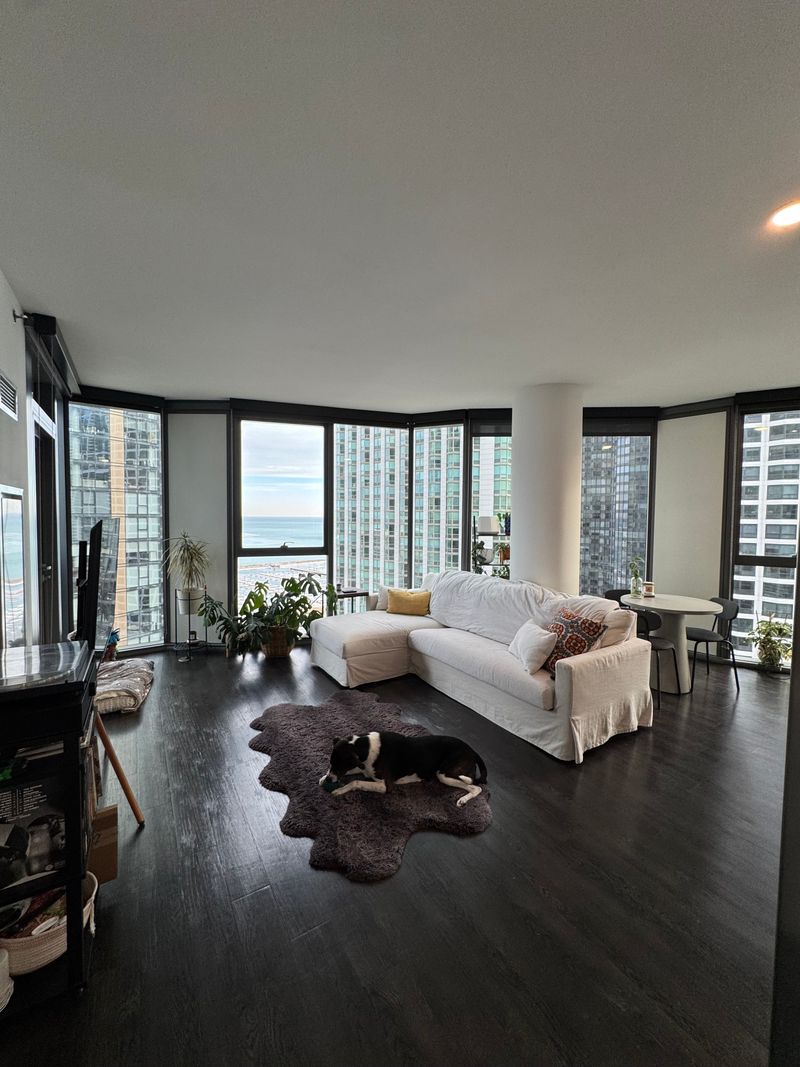 roommates in Chicago Entire Place 2Bed.2Bath - cirtru.com