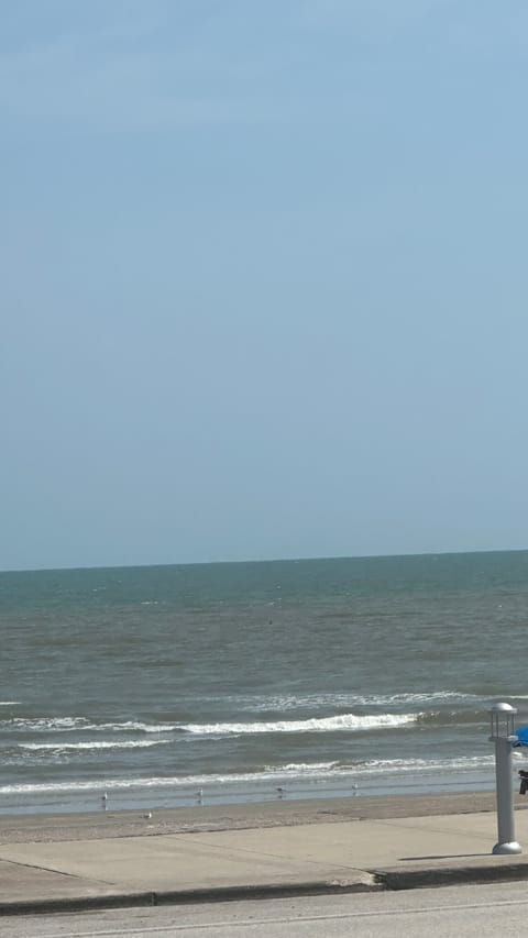 roommates in Galveston Entire Place 2Bed.1.5Bath - cirtru.com