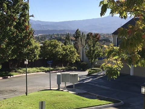 roommates in San Jose Private Room in 1Bed.1Bath - cirtru.com