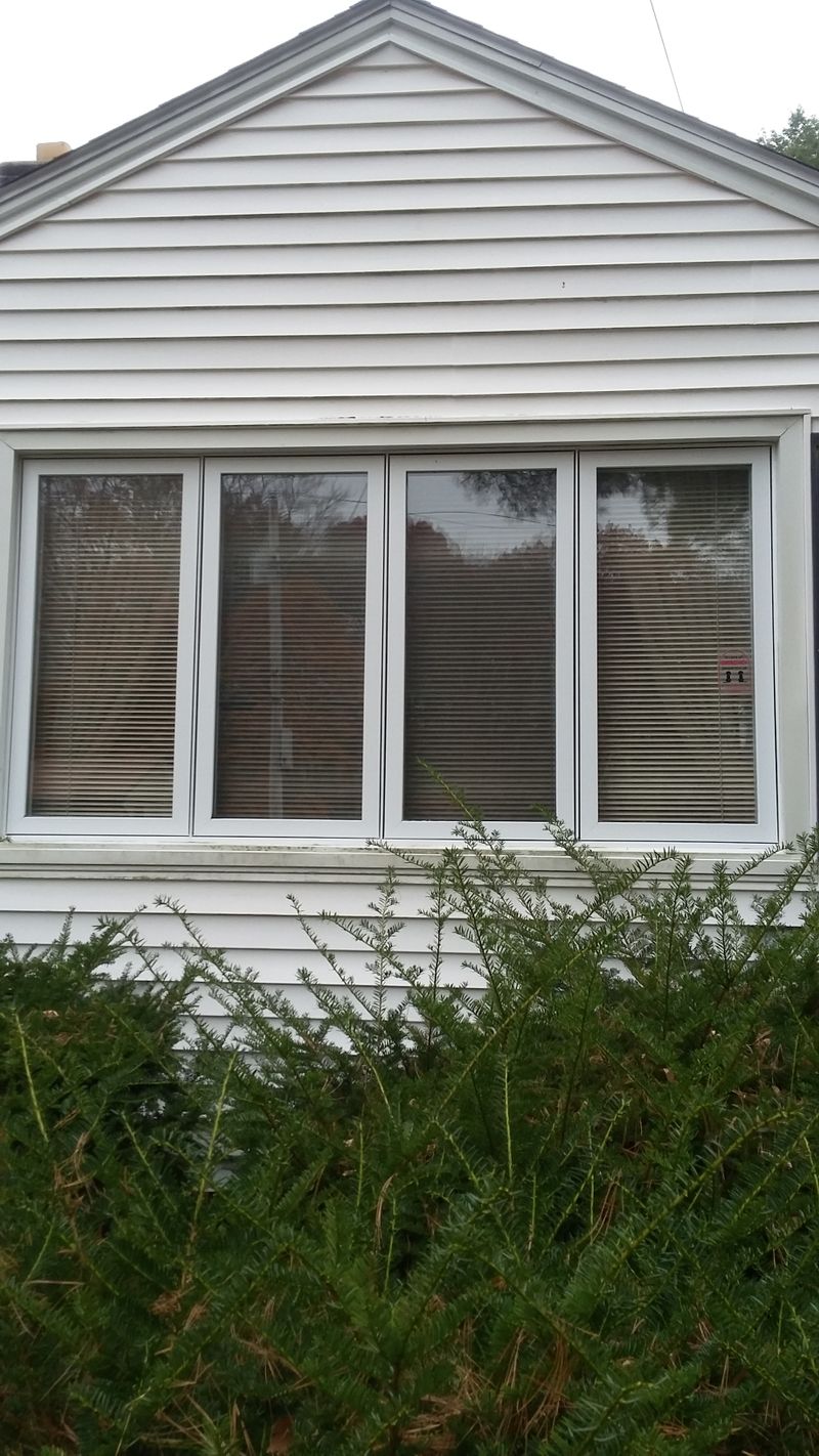 roommates in Springfield Room3Bed.1Bath - cirtru.com