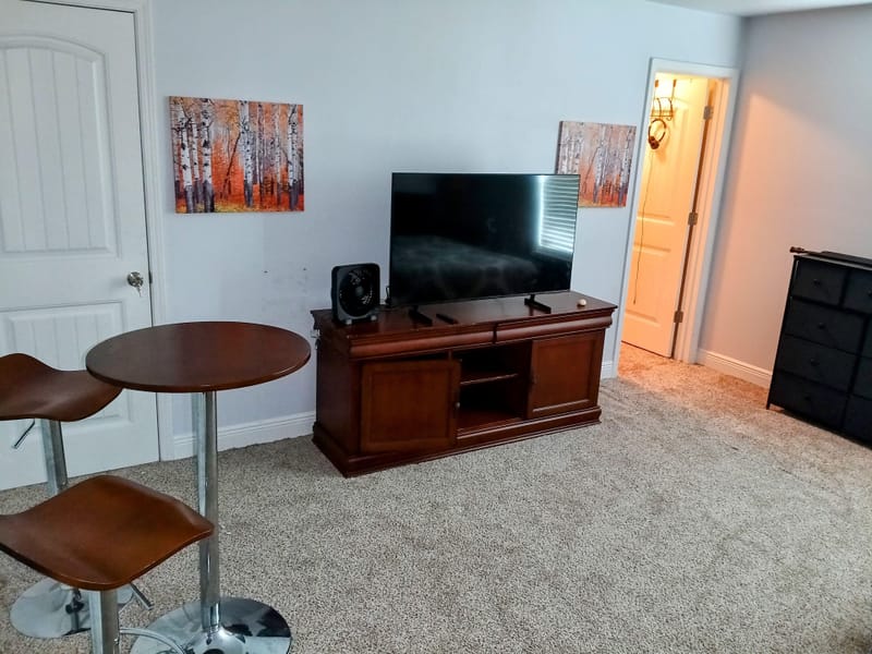 roommates in Undisclosed, Mobile, AL 36618 Comfortable  Bedroom with Television (id. 10711) - cirtru.com