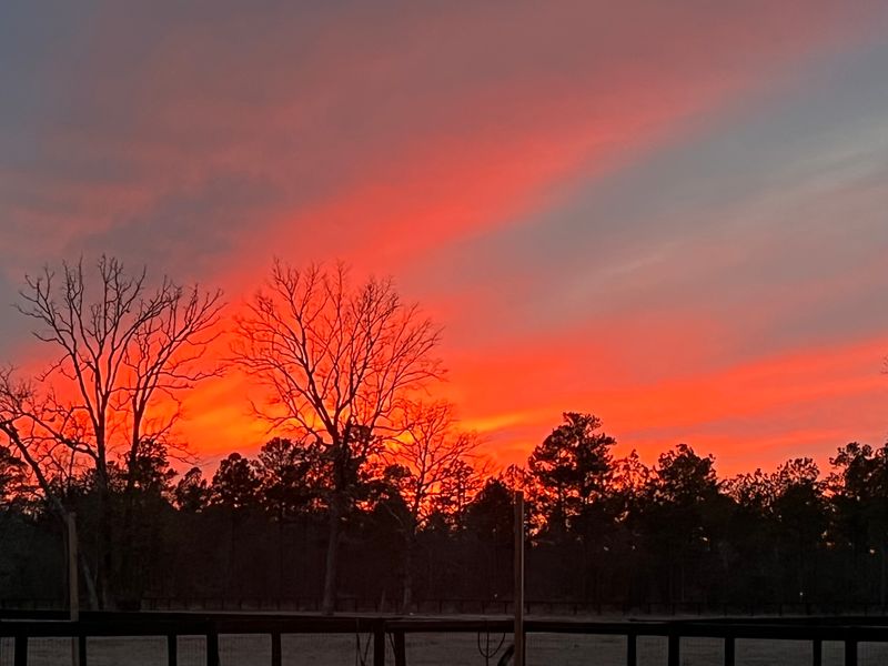 roommates in Aiken Entire Place 1Bed.1.5Bath - cirtru.com
