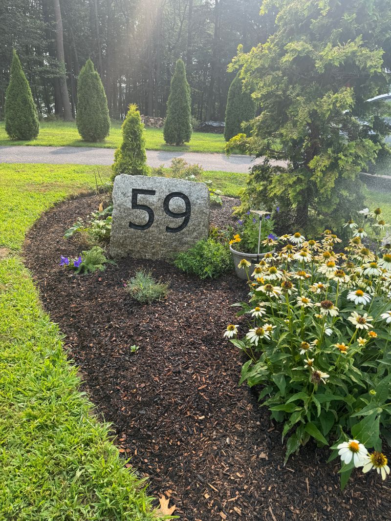 roommates in Wayland Entire Place 2Bed.1Bath - cirtru.com