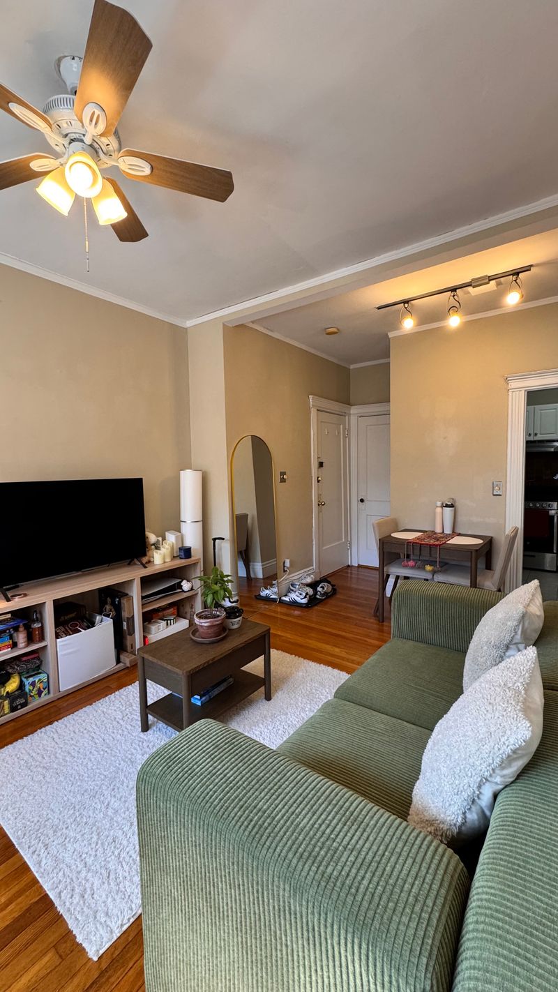 roommates in Boston Entire Place 1Bed.1Bath - cirtru.com