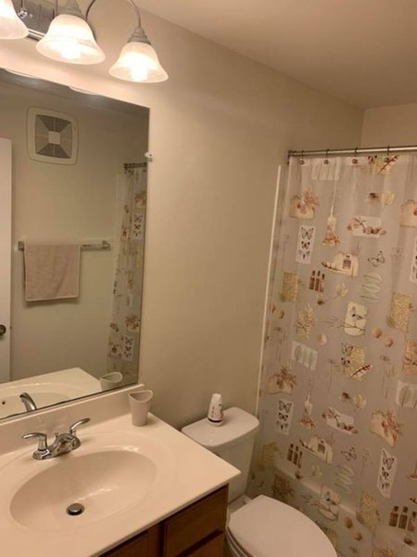 roommates in Hyattsville Private Room in 3Bed.3Bath - cirtru.com