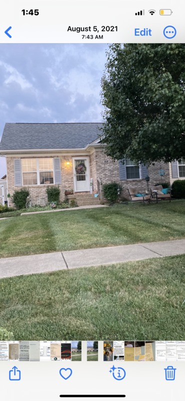 roommates in Mount Washington Entire Place 2Bed.1Bath - cirtru.com