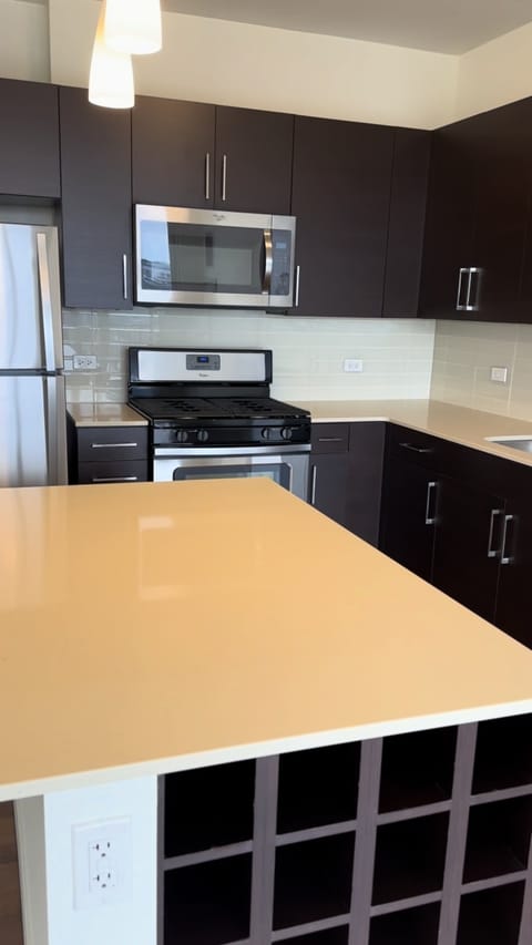 roommates in Chicago Entire Place 1Bed.1Bath - cirtru.com