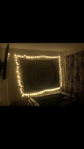 roommates in Brooklyn Private Room in 2Bed.1Bath - cirtru.com