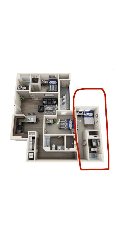 roommates in Raleigh Private Room in 3Bed.3Bath - cirtru.com