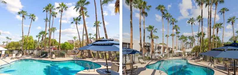 roommates in Scottsdale Entire Place 2Bed.2Bath - cirtru.com