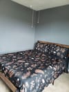 Live in Houston (id. 40514)