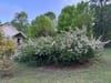 Entire Place 1Bed.1Bath