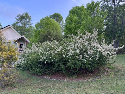 Entire Place 1Bed.1Bath