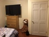 Private Room in 3Bed.2Bath