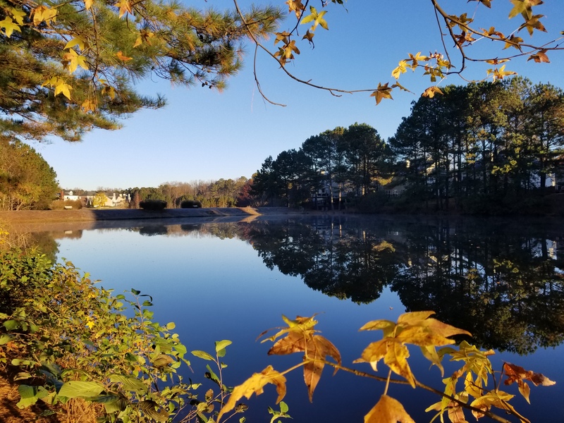roommates in Alpharetta Entire Place 4Bed.4Bath - cirtru.com
