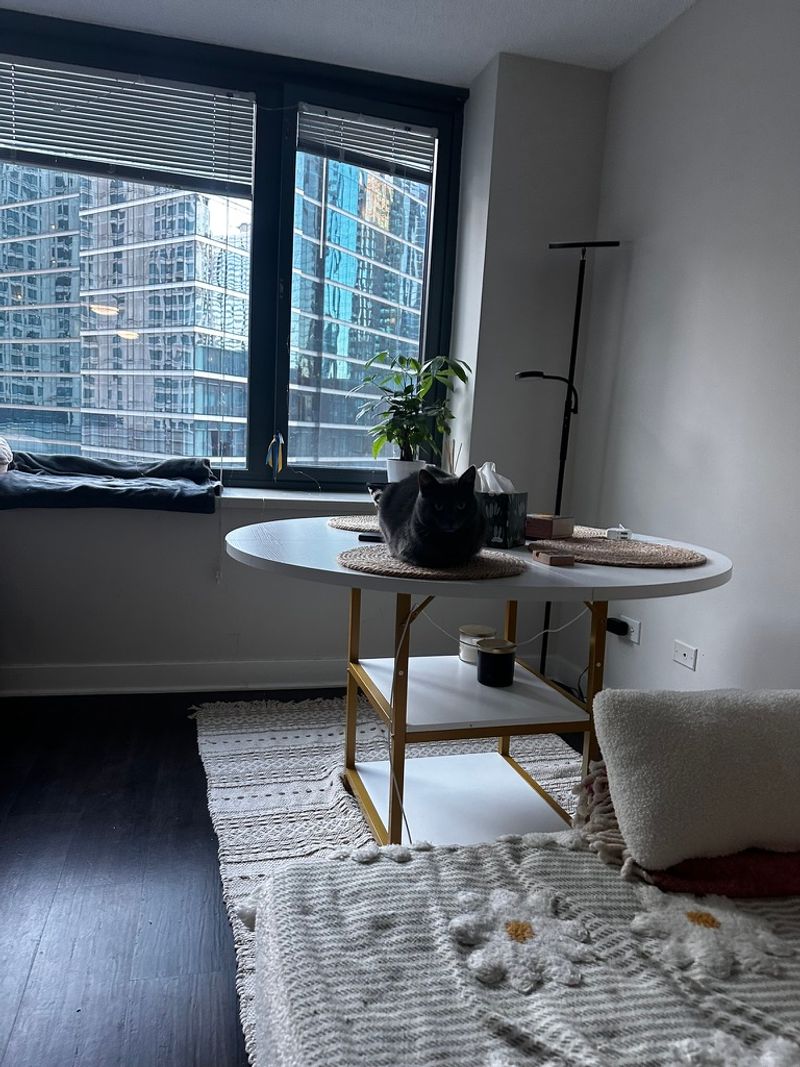 roommates in Chicago Entire Place 1Bed.1Bath - cirtru.com