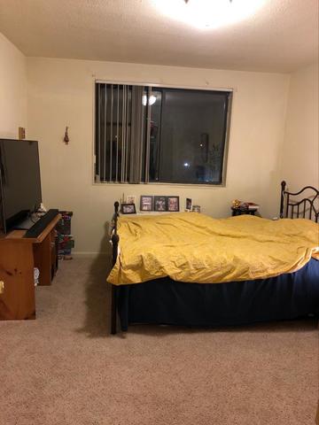 roommates in Silver Spring Private Room in 3Bed.2Bath - cirtru.com