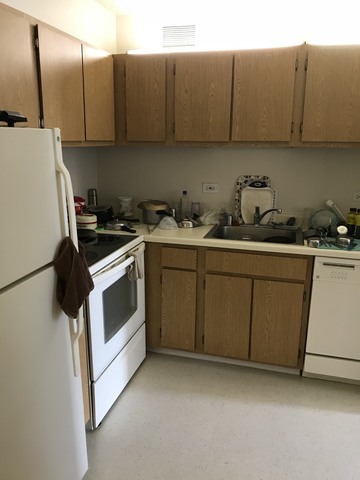 roommates in Chicago Vegetarian Male Roommate needed - cirtru.com