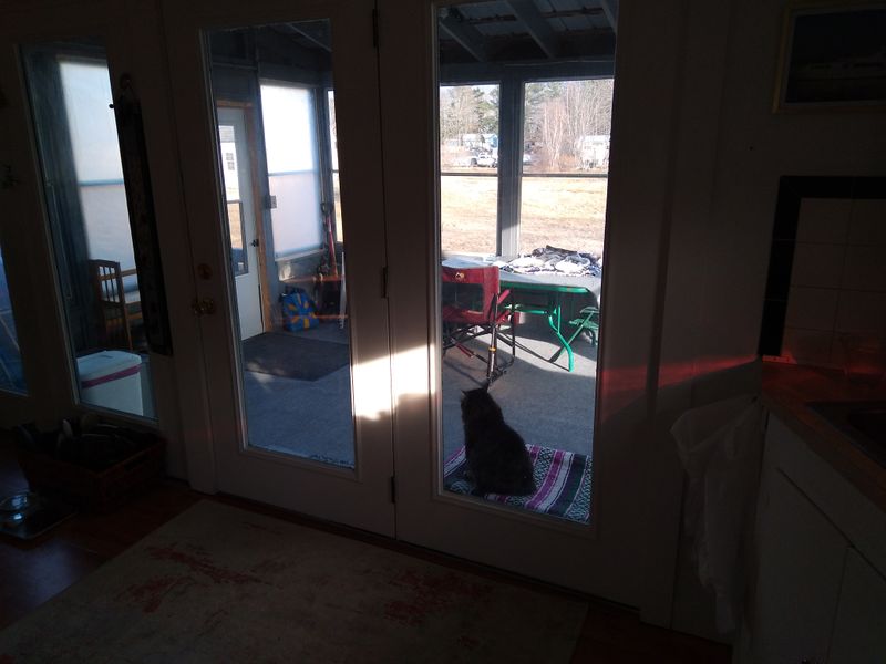 roommates in Orrington Private Room in 2Bed.1Bath - cirtru.com