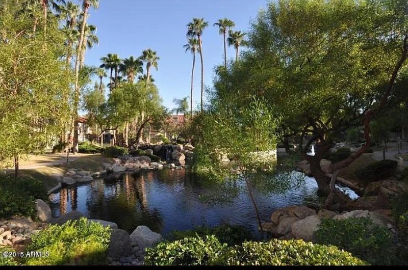 roommates in Scottsdale Entire Place 2Bed.2Bath - cirtru.com