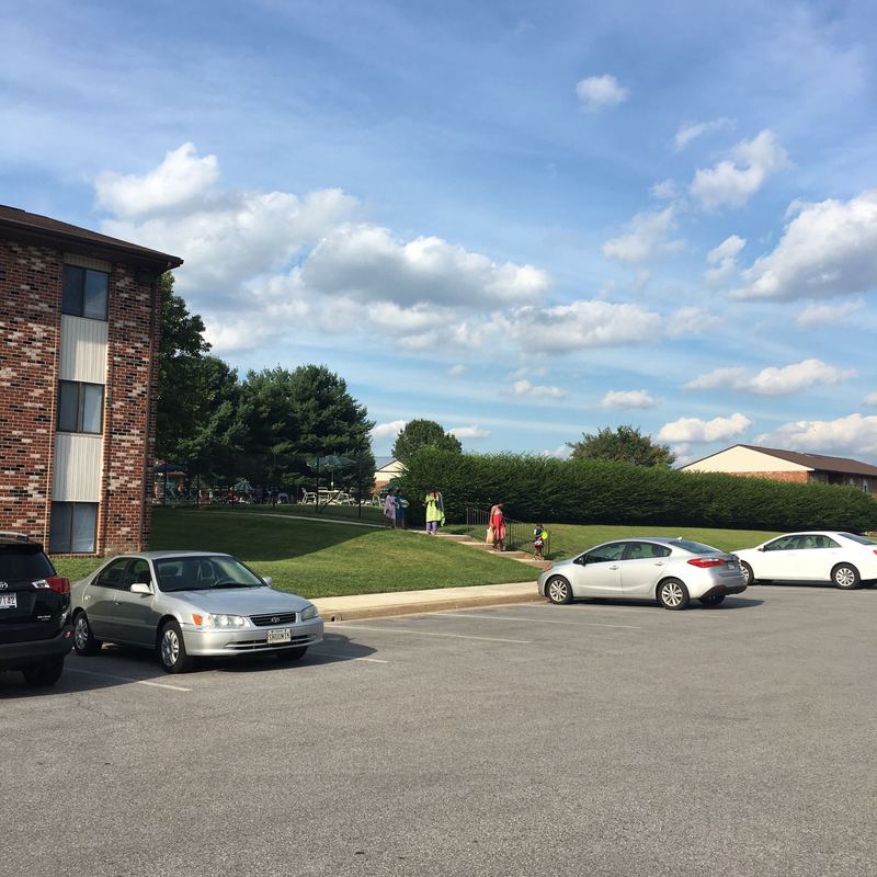 roommates in Ellicott City 1bed and 1 bathroom available for rent in 2 bed and 2 bath with living room apt - cirtru.com