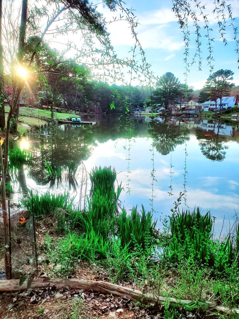 roommates in Lilburn Private Room in 2Bed.2.5Bath - cirtru.com