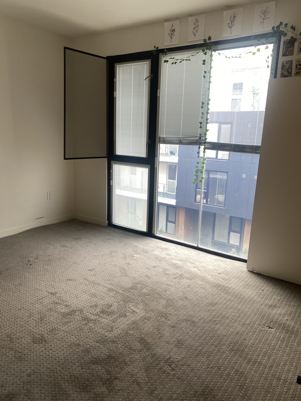 roommates in San Marcos Looking for one roommate! - cirtru.com