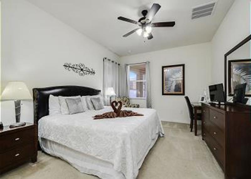 roommates in Davenport Private Room with en-suite bath - cirtru.com