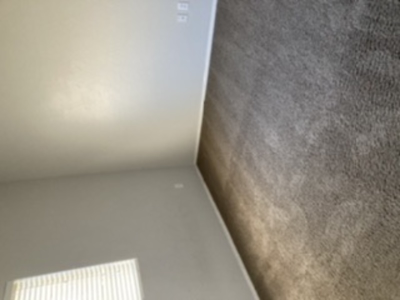 roommates in Queen Creek Private Room in 2Bed.1Bath - cirtru.com