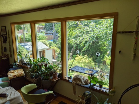 roommates in Portland Private Room in 5Bed.3Bath - cirtru.com