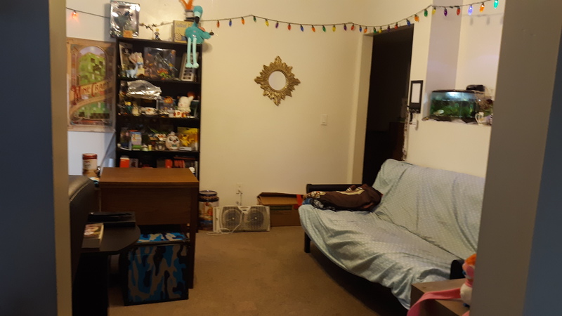 roommates in Pittsburgh Private Room in 2Bed.1Bath - cirtru.com