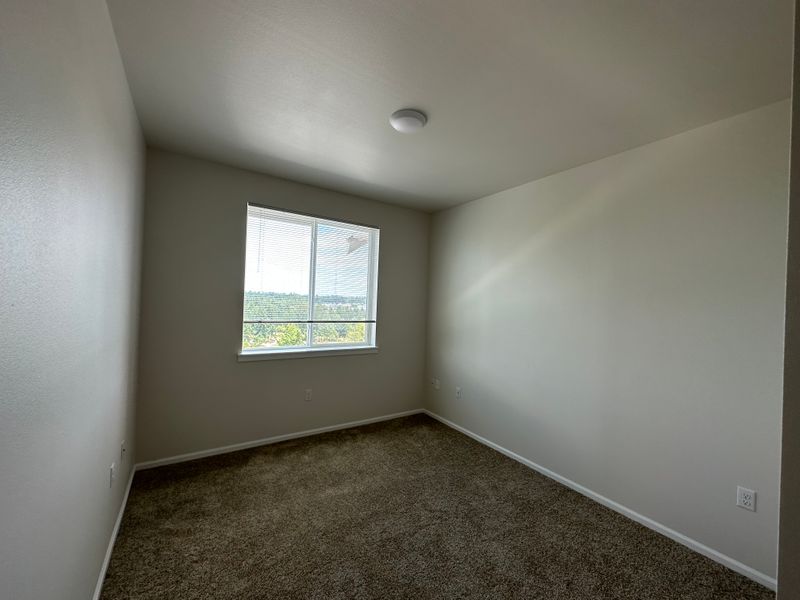 roommates in South Hill Private Room in 2Bed.2Bath - cirtru.com
