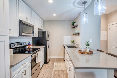 roommates in Scottsdale Entire Place 1Bed.1Bath - cirtru.com